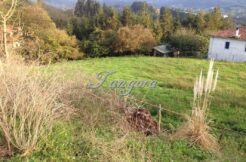 IMG-20220513-WA0008 (Copy)