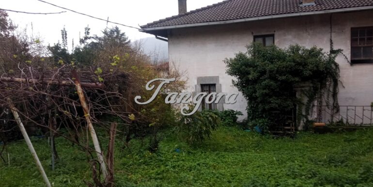 1701801685396 (Copy)