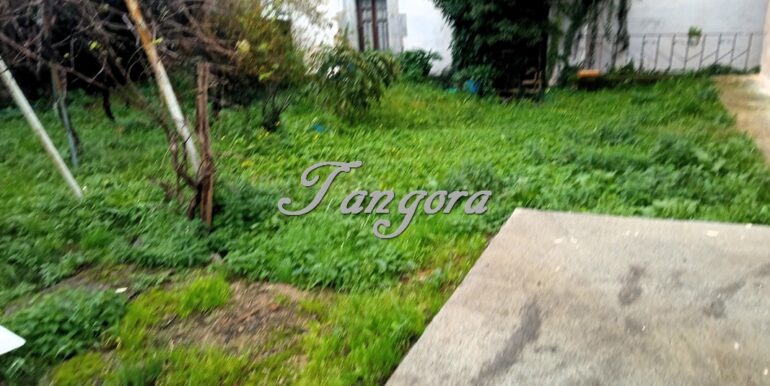 1701801714162 (Copy)