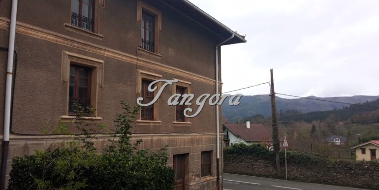 1701801714657 (Copy)