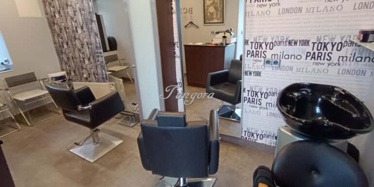 1708360128446 (Copy)