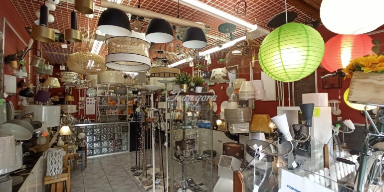 IMG_20240709_104134 (Copy)