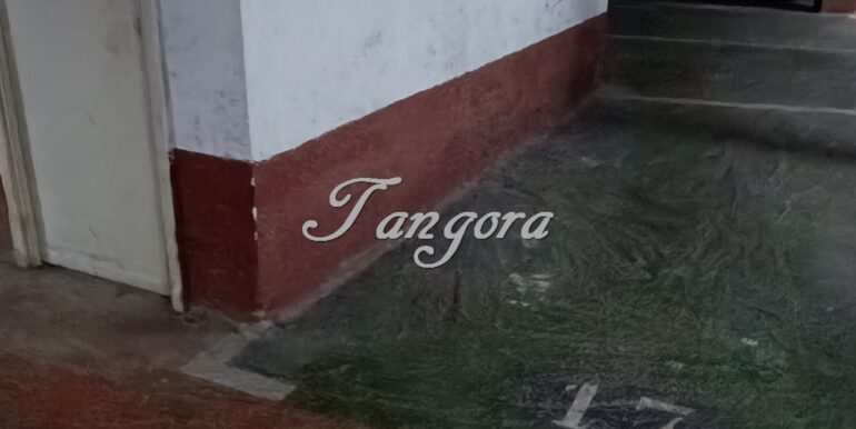 1719831861037 (Copy)