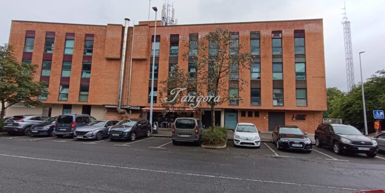 1723028952963 (Copy)