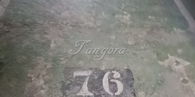 1723028952995 (Copy)