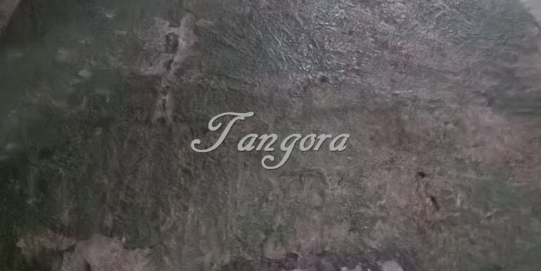 1723028953043 (Copy)