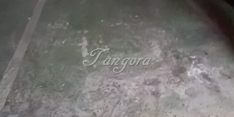 1723028953081 (Copy)