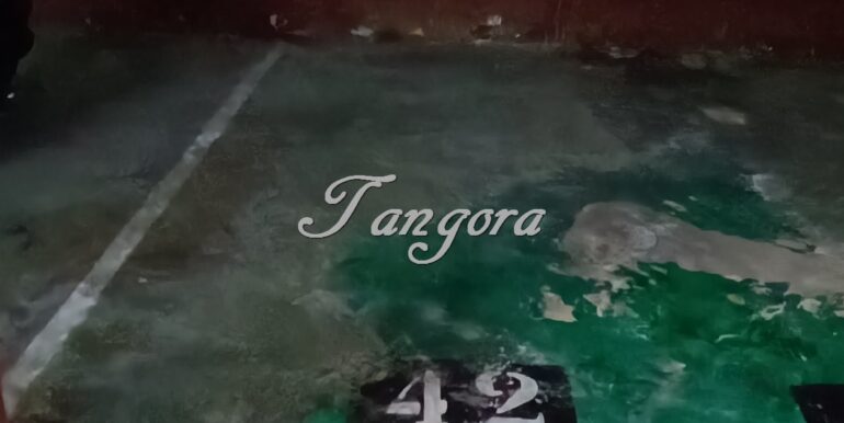 1723028953118 (Copy)