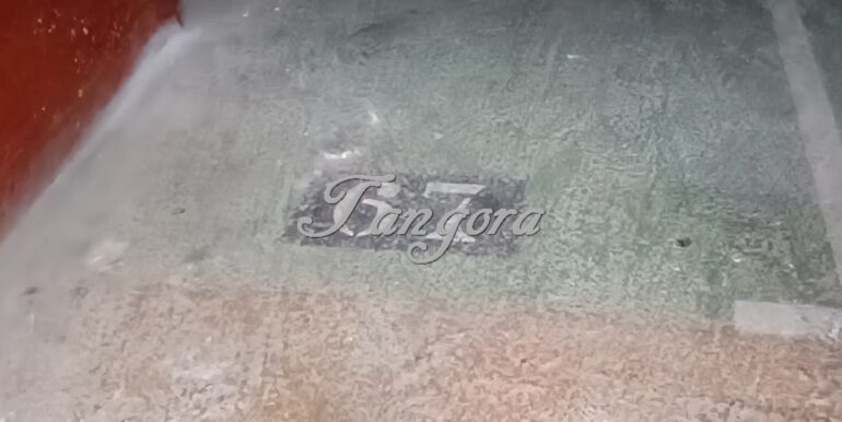 1723028953176 (Copy)