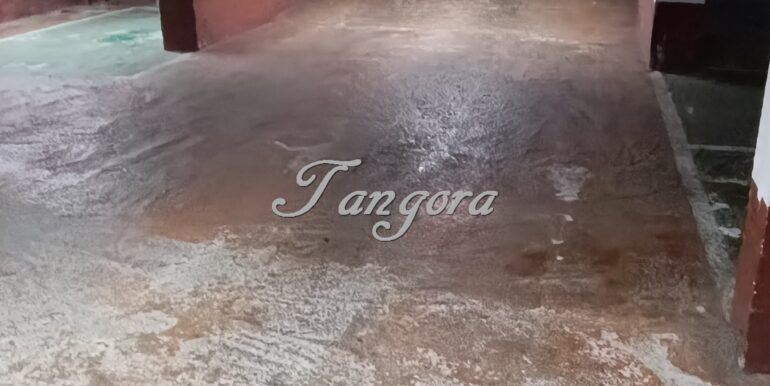 1723028953199 (Copy)