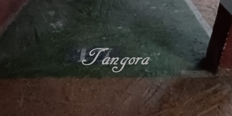 1723028953220 (Copy)