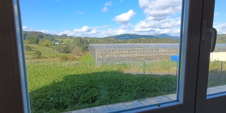 1726245895028 (Copy)