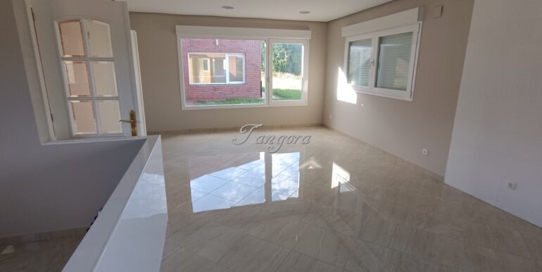 1726245895039 (Copy)