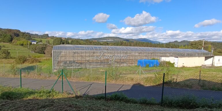 1726245931852 (Copy)