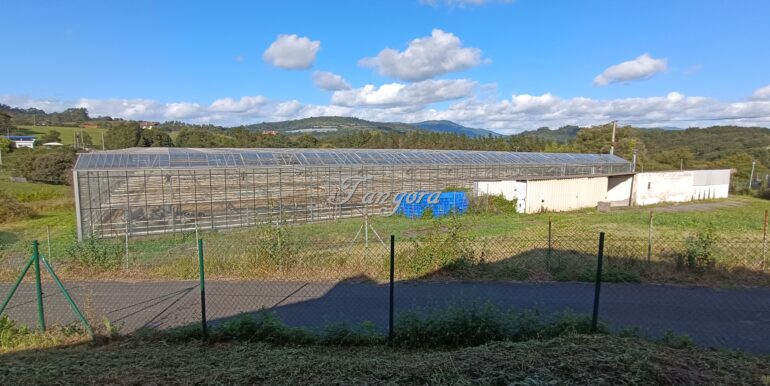 1726245931865 (Copy)