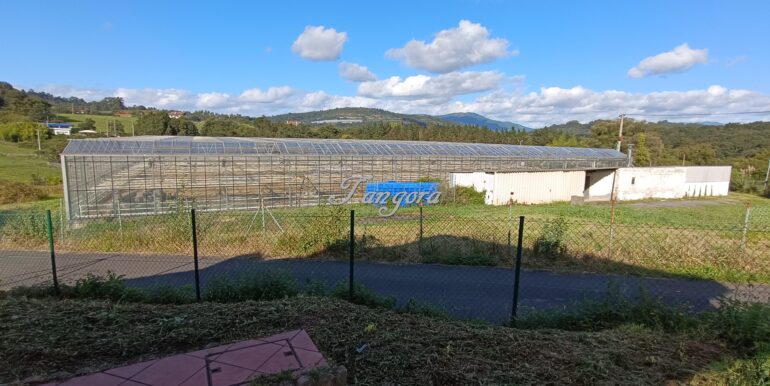 1726245931875 (Copy)