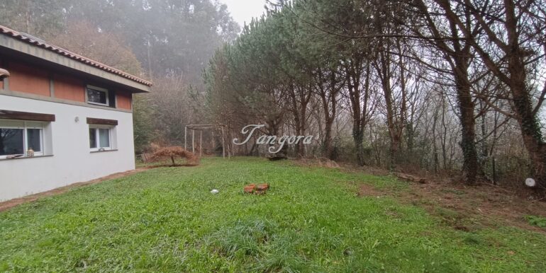 1737029982898 (Copy)