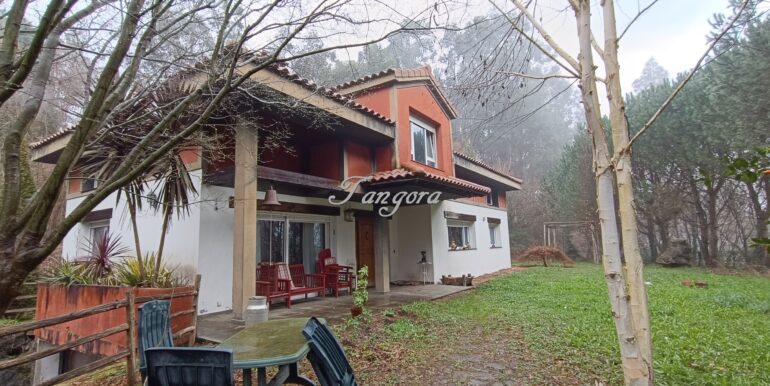 1737029982927 (Copy)