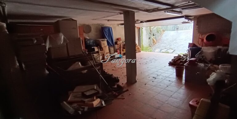 1737030002798 (Copy)