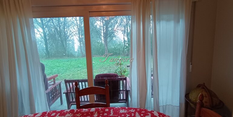 1737030002828 (Copy)