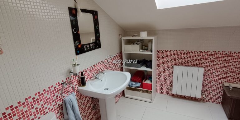 1737031448659 (Copy)