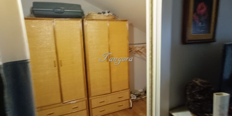 1737031448808 (Copy)