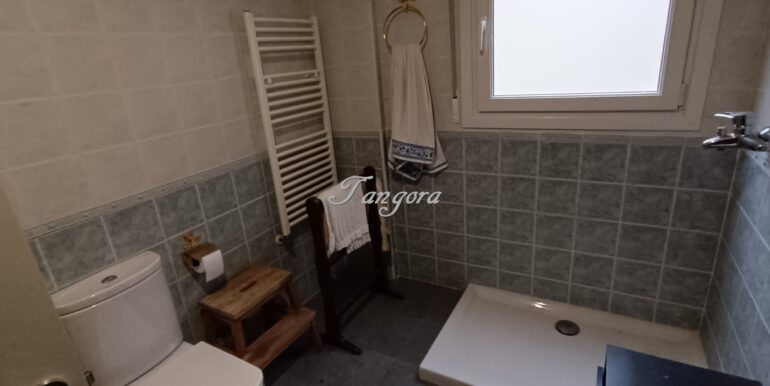 1737031475704 (Copy)