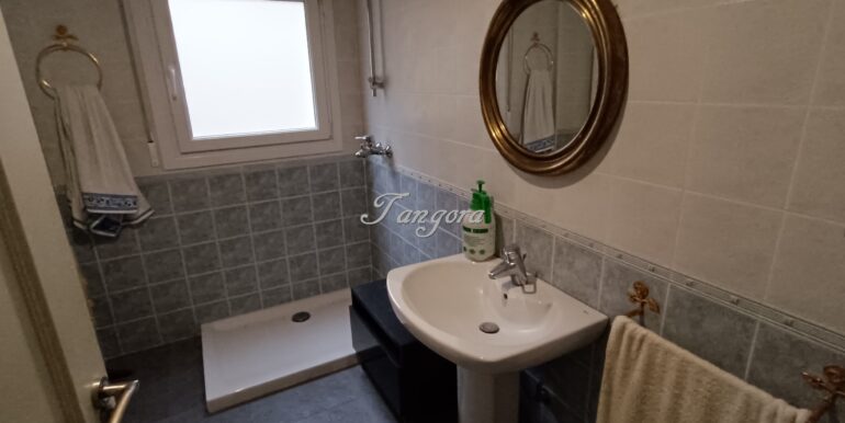 1737031475735 (Copy)