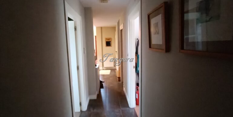 1737031475748 (Copy)