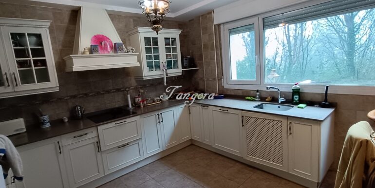 1737031475761 (Copy)