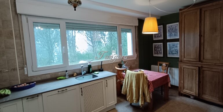 1737031475784 (Copy)