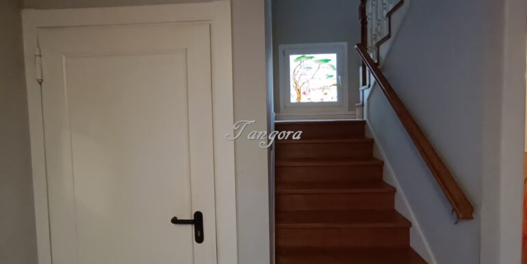 1737031495446 (Copy)