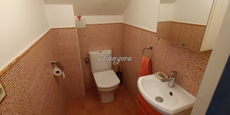 1737031495467 (Copy)