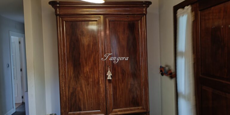 1737031495546 (Copy)