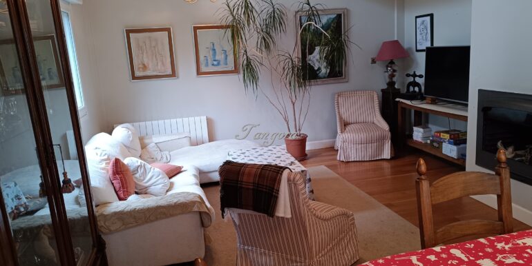 1737031495583 (Copy)