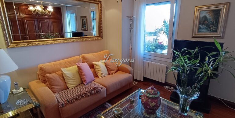 1738669577091 (Copy)