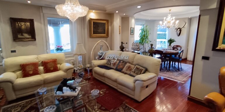 1738669617674 (Copy)