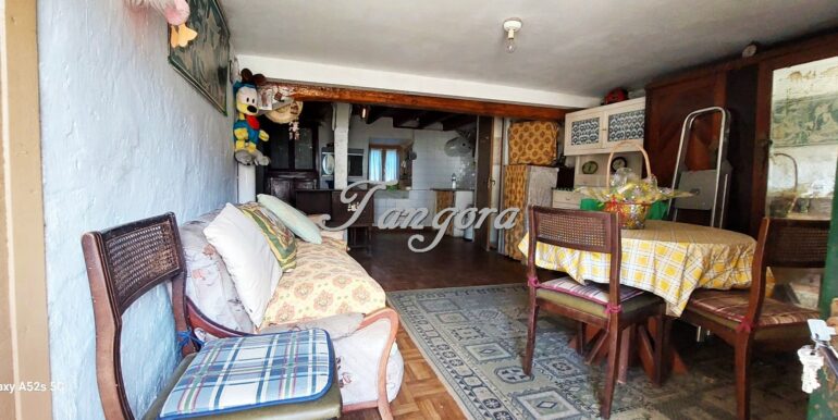 1744642511415 (Copy)