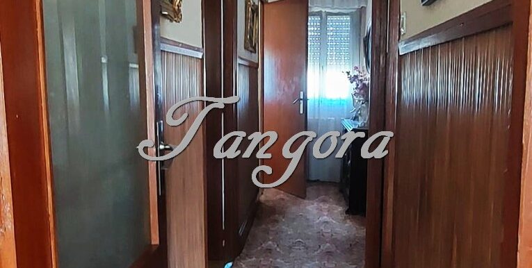 1744642511458 (Copy)