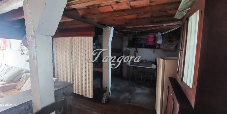 1744642511842 (Copy)