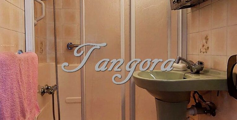 1744647459807 (Copy)