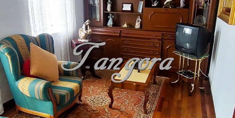 1744647459949 (Copy)