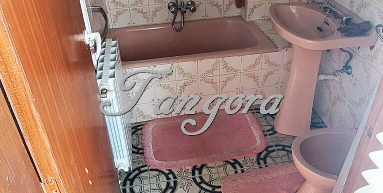 1744647459970 (Copy)