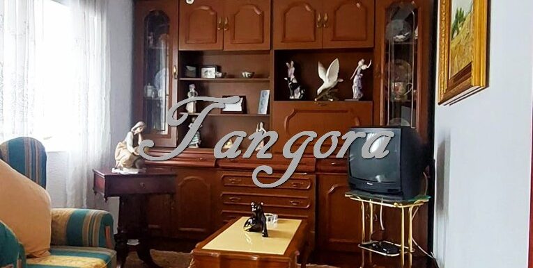 1744647459991 (Copy)