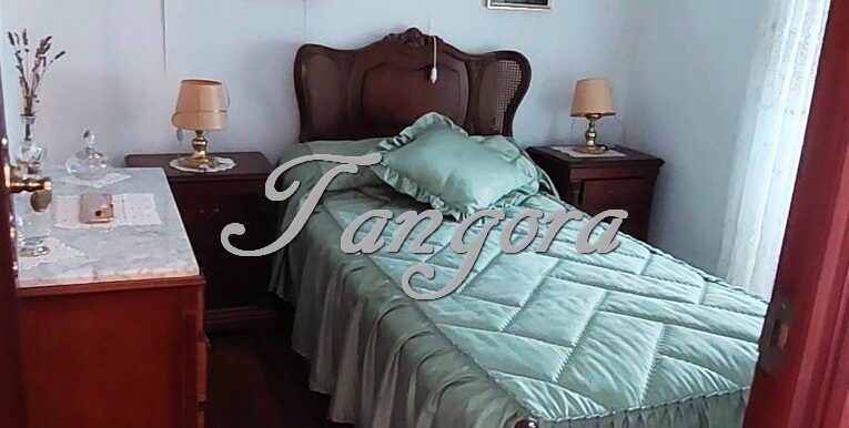 1744647460012 (Copy)