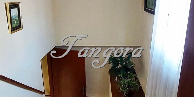 1744647460153 (Copy)