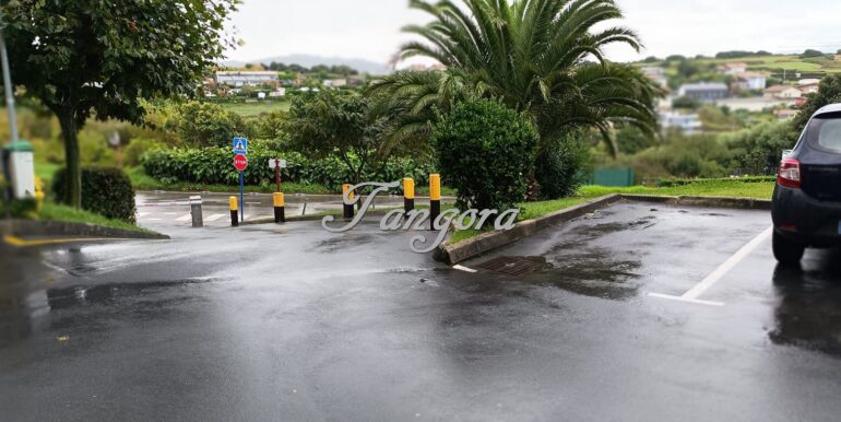 IMG-20250923-WA0001 (Copy)