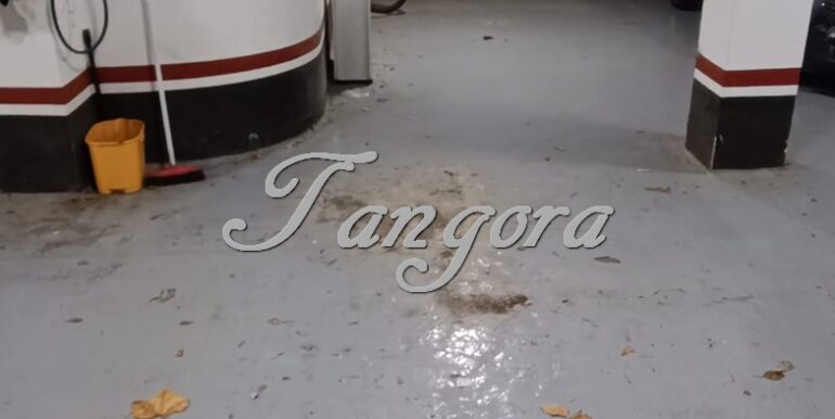 IMG-20250923-WA0003 (Copy)