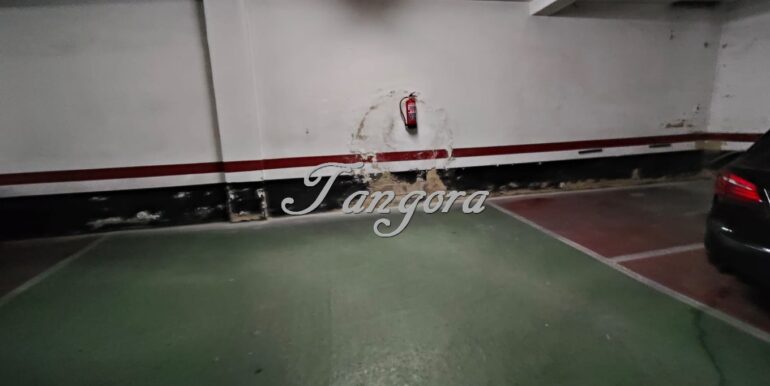 IMG-20250923-WA0058 (Copy)