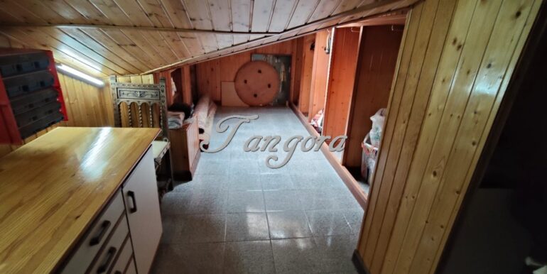 IMG-20250923-WA0100 (Copy)